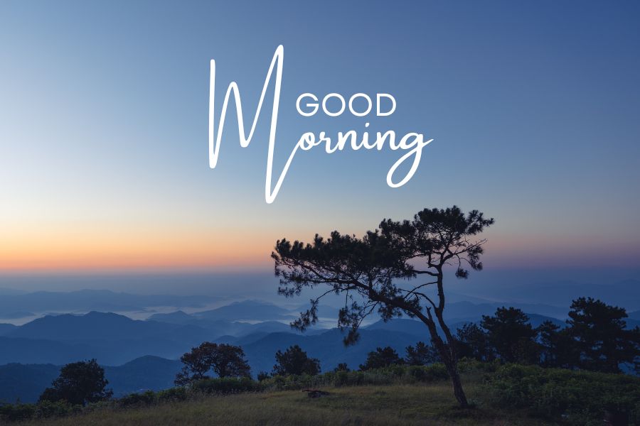 nature good morning