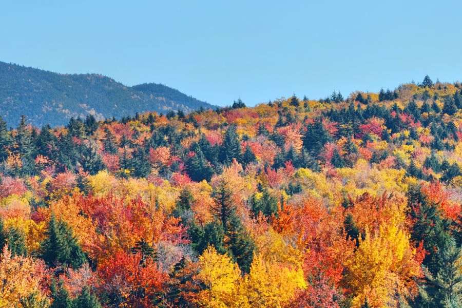 nature hd images download