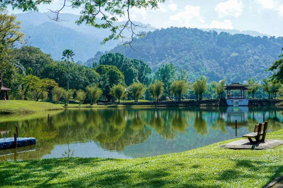 nature hd pics