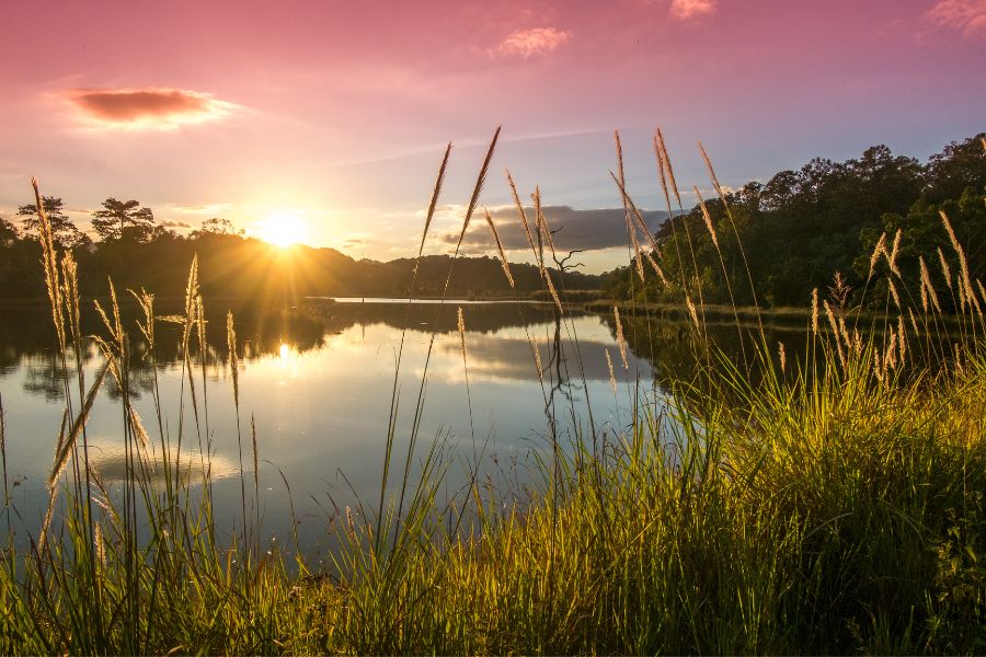 nature image for wallpaper
