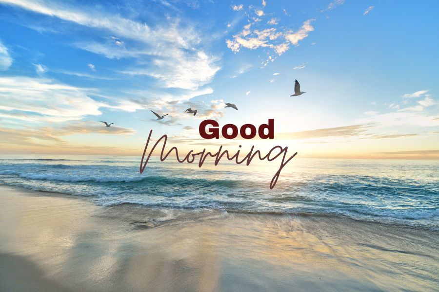 nature natural good morning images