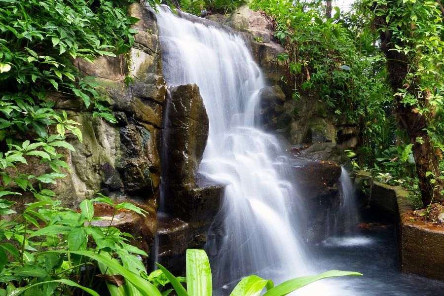 nature scene image