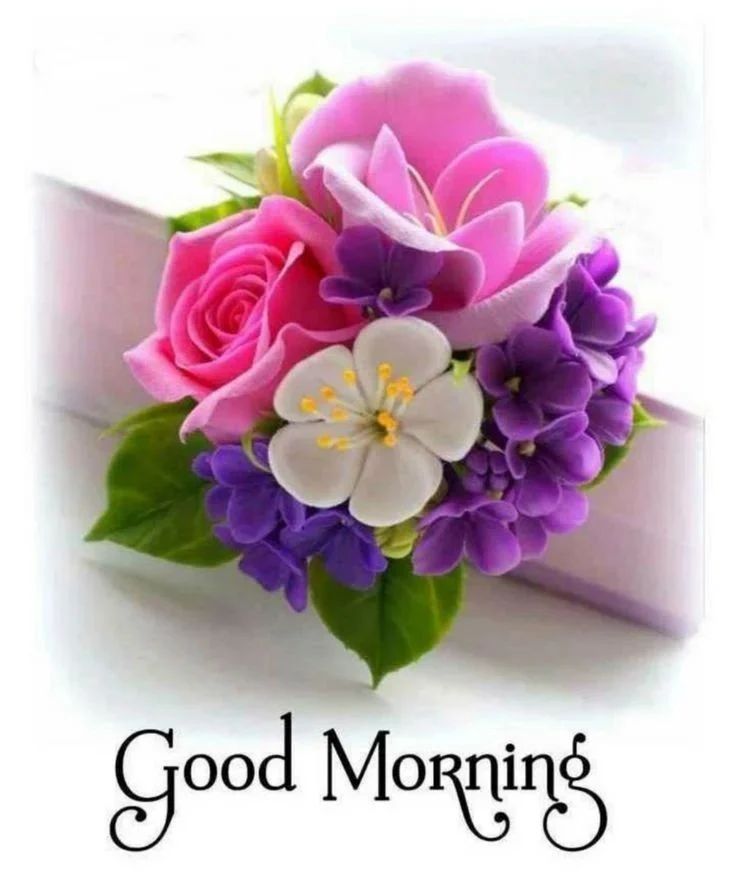 pic of good morning love