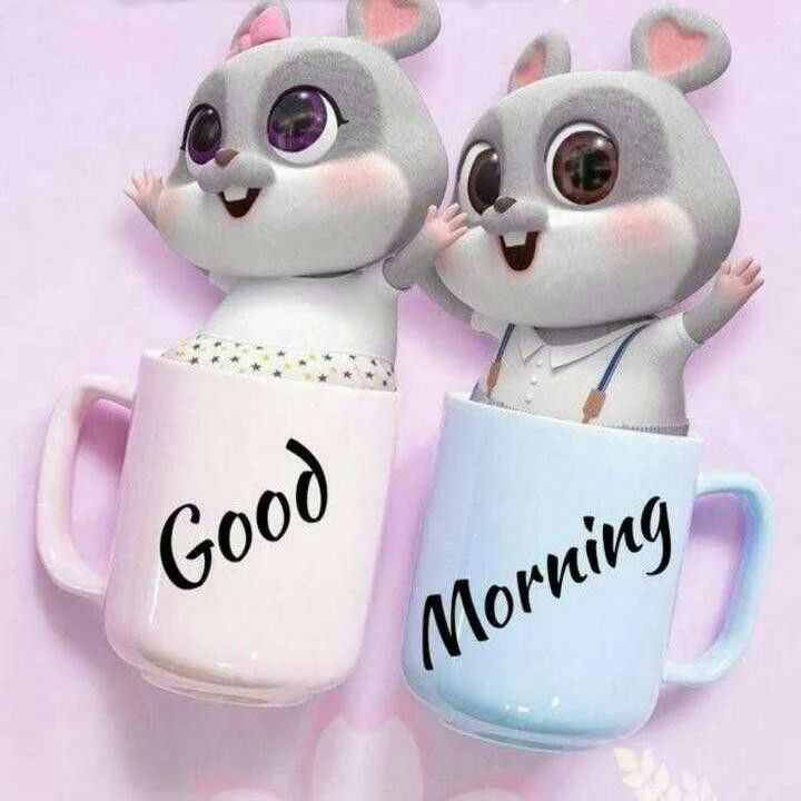 pics of good night