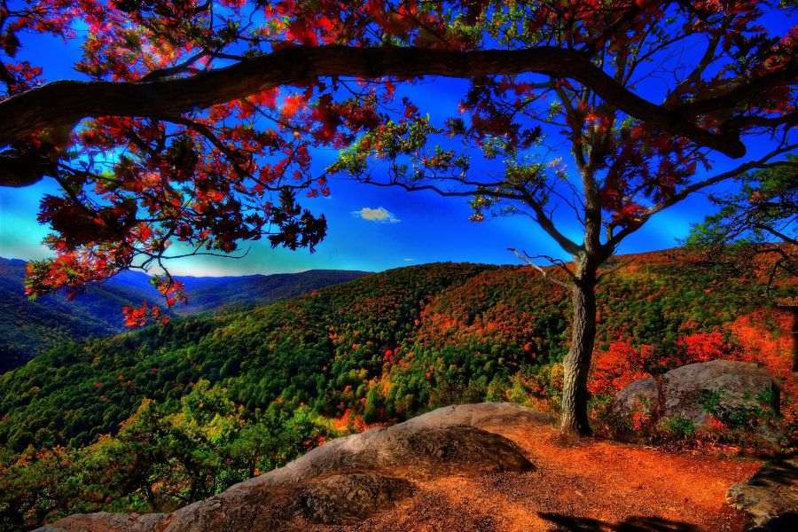 pictures of nature wallpaper