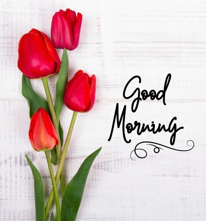 romantic good morning love image