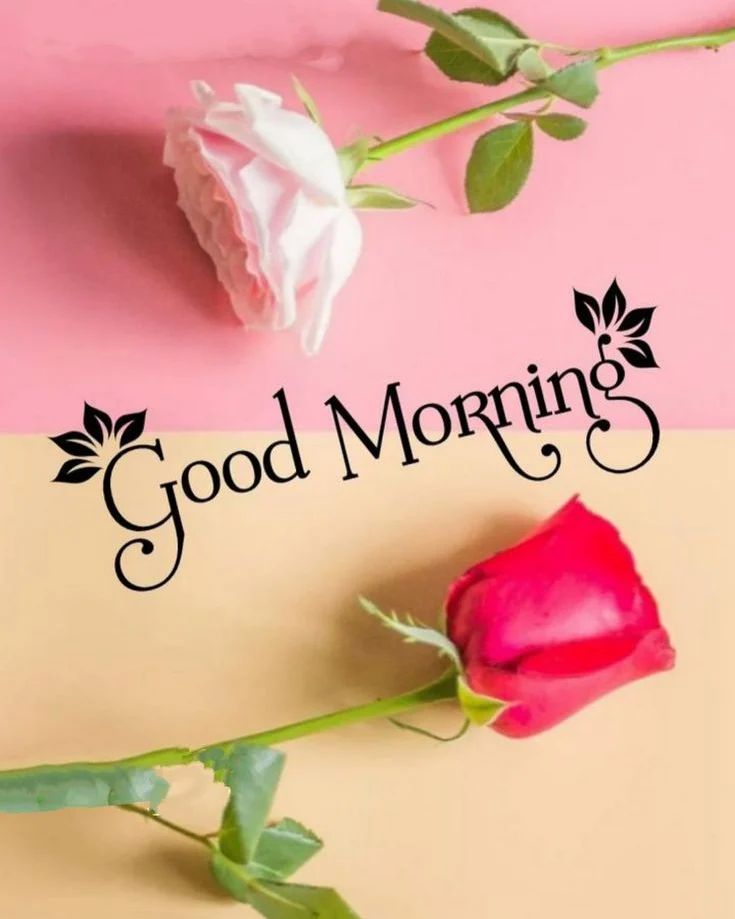 romantic good morning love