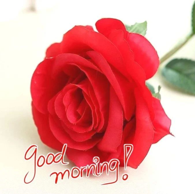 romantic love good morning image