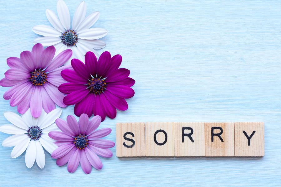 sorry images in hd 2