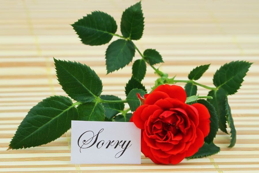 sorry love image 1
