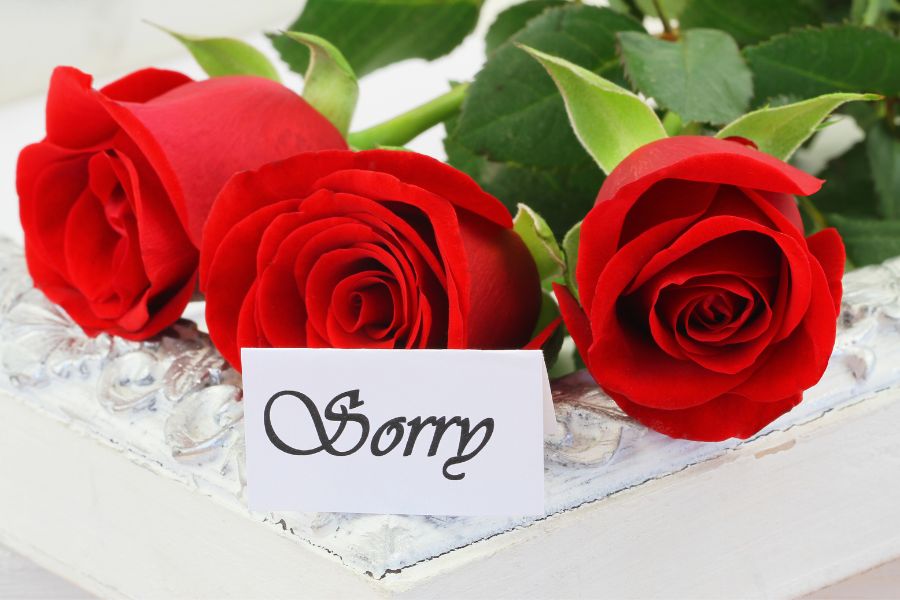 sorry love image 5