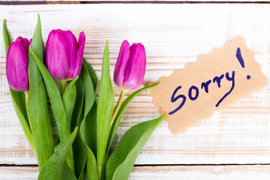 sorry to friend image 1