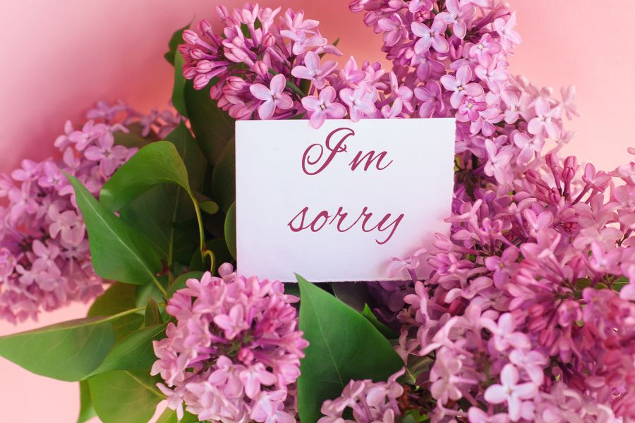 sorry to friend image 2