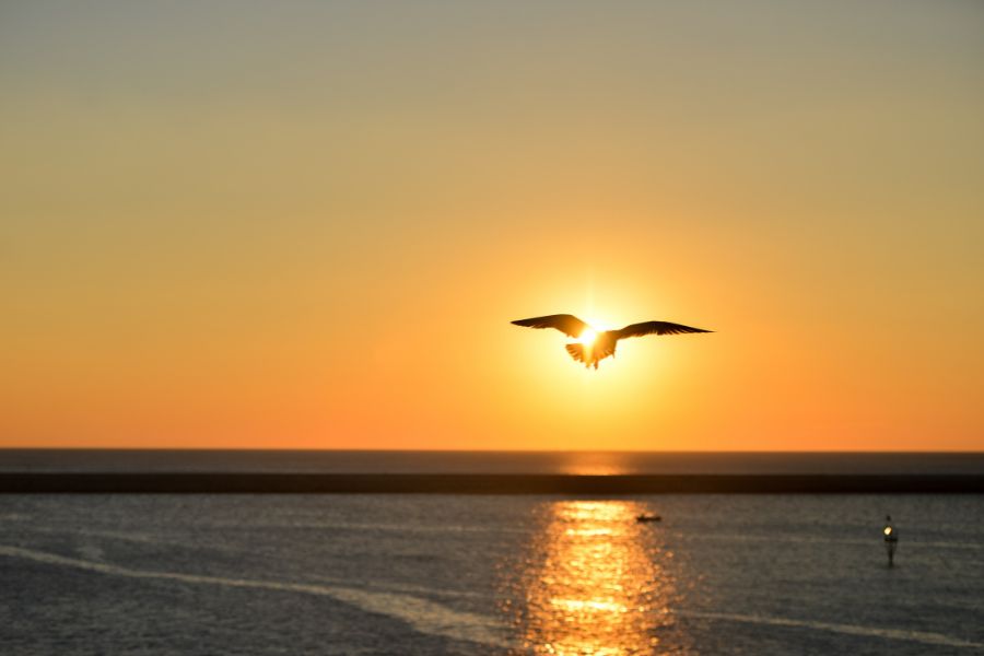 sunrise beach image