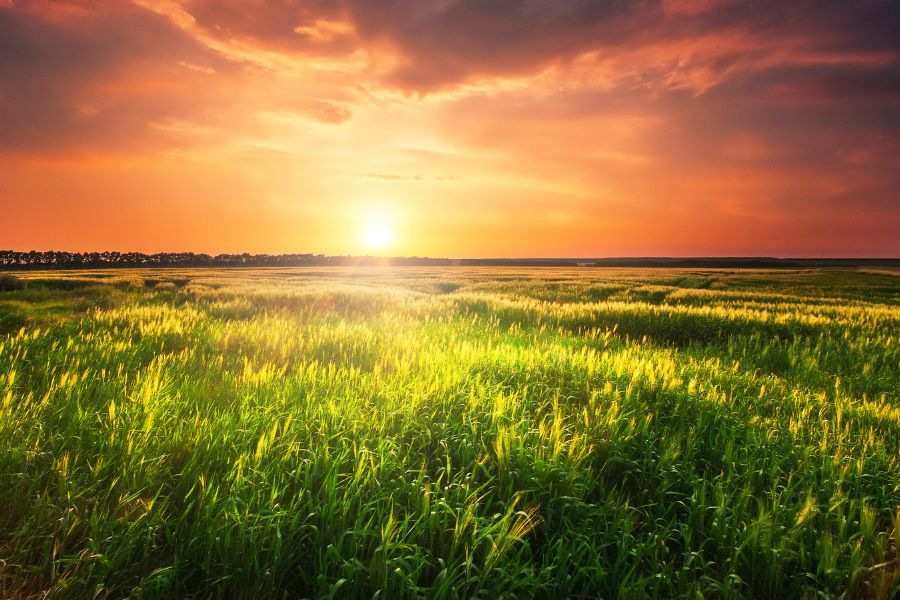 sunrise beautiful images