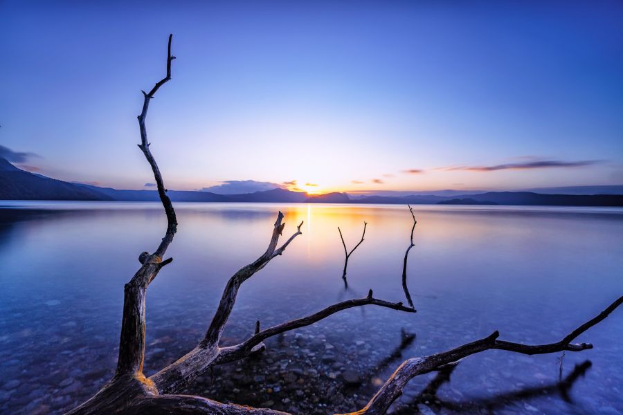 sunrise dp images