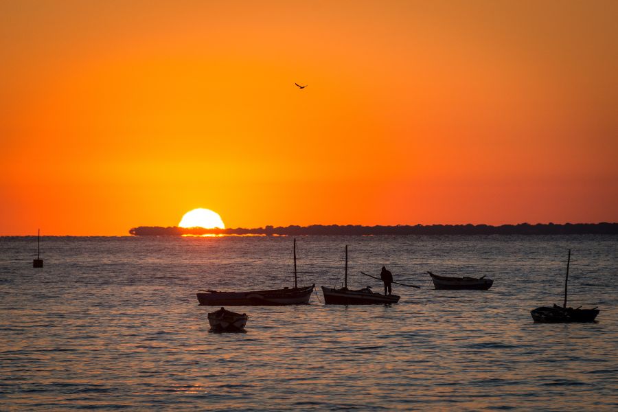 sunrise good morning images with nature