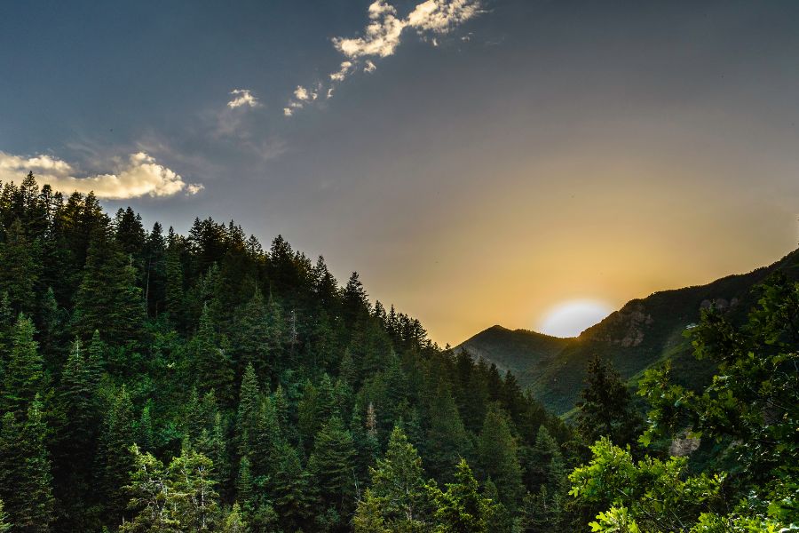 sunrise images good morning