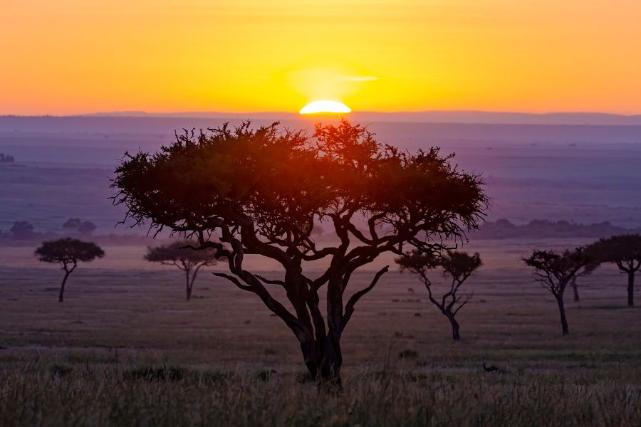 sunrise today image