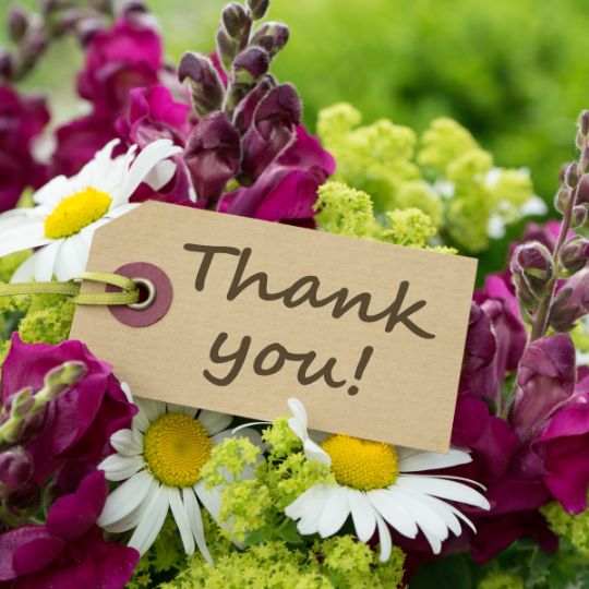 thank you image flowers
