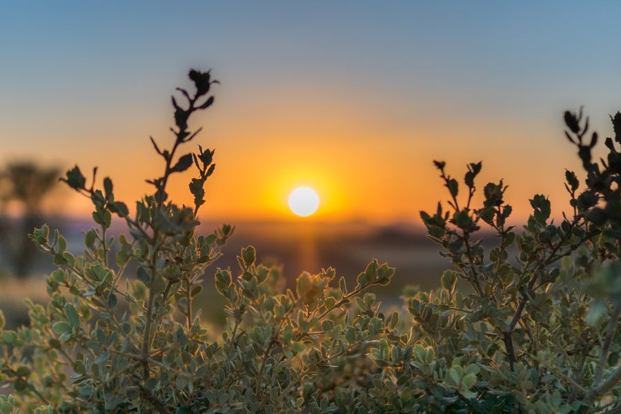the beautiful nature picture