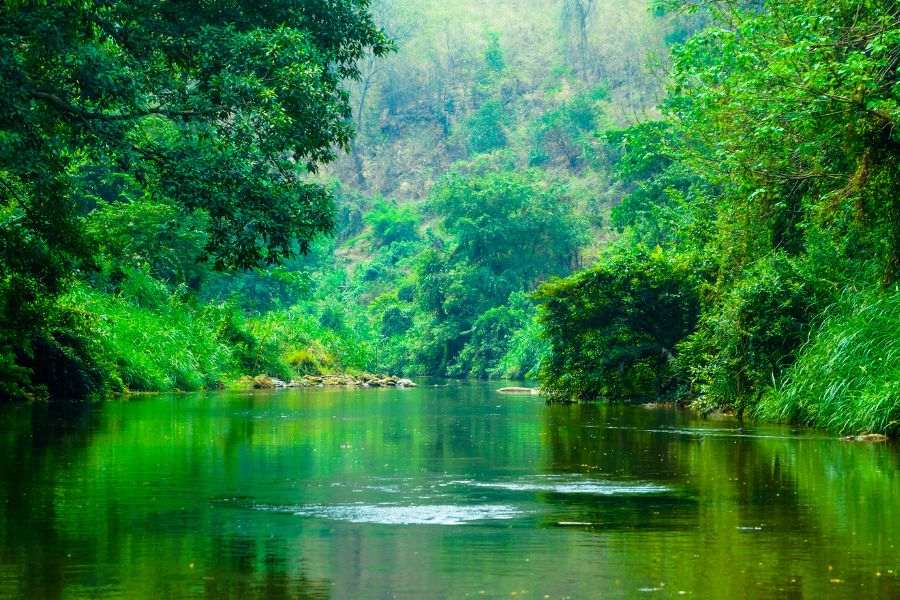 the beautiful nature pictures