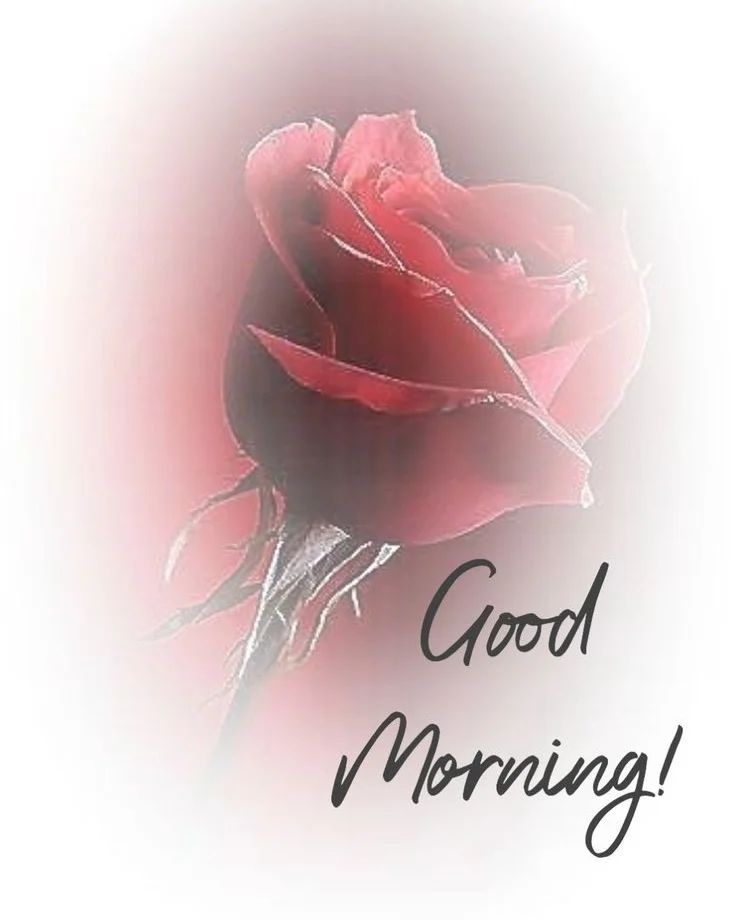 wallpaper love good morning