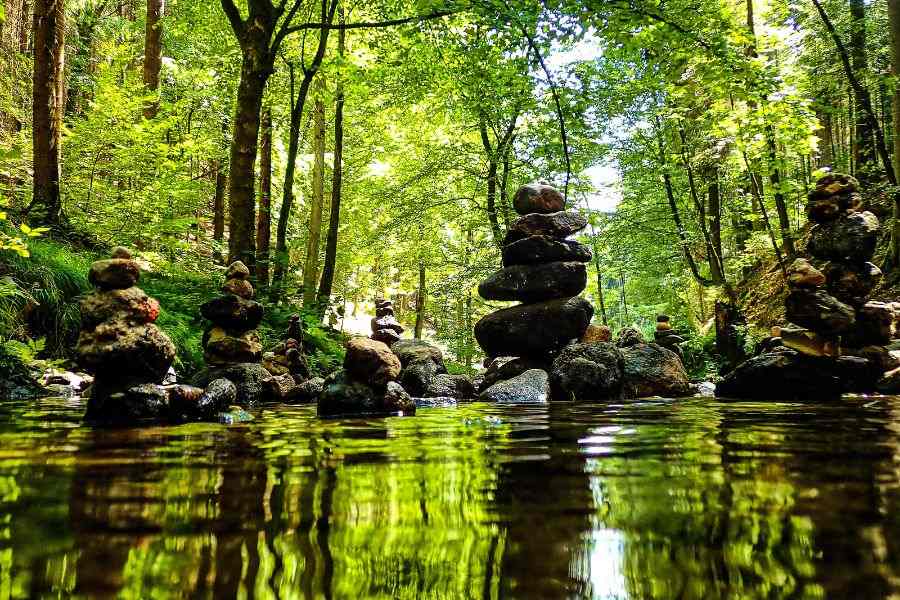 wallpaper pictures of nature