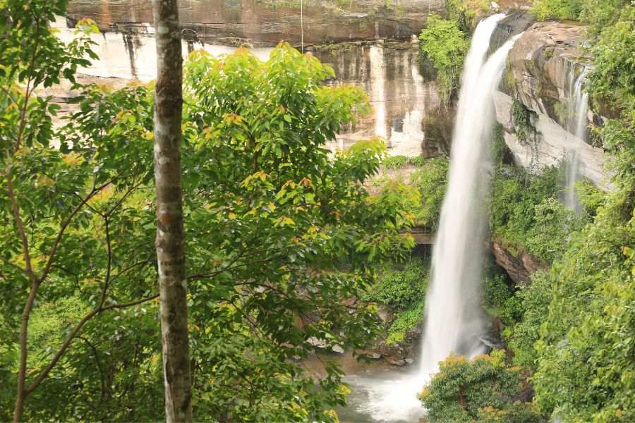 waterfall image download