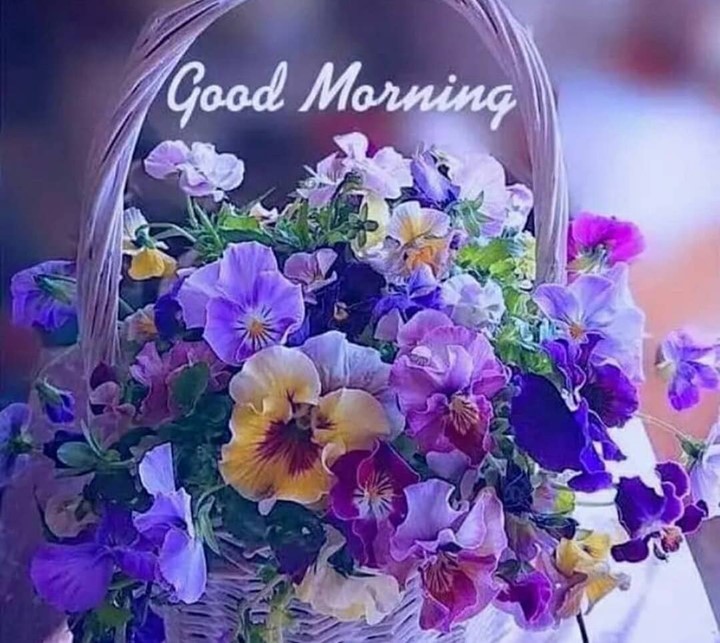 Good Morning Love Images