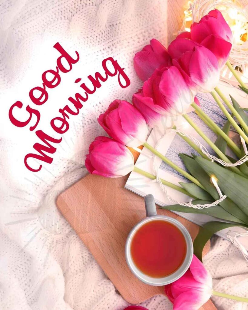 Good Morning Love Images